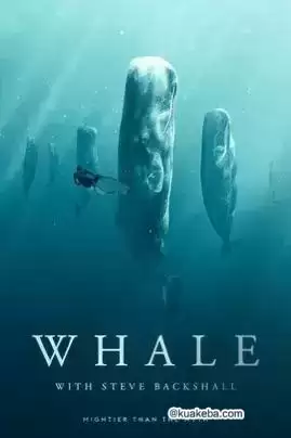 Whale with Steve Backshall  (2023) 1080P 英语中字-夸克宝藏库