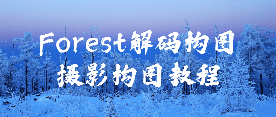 Forest解码构图摄影构图教程-夸克宝藏库