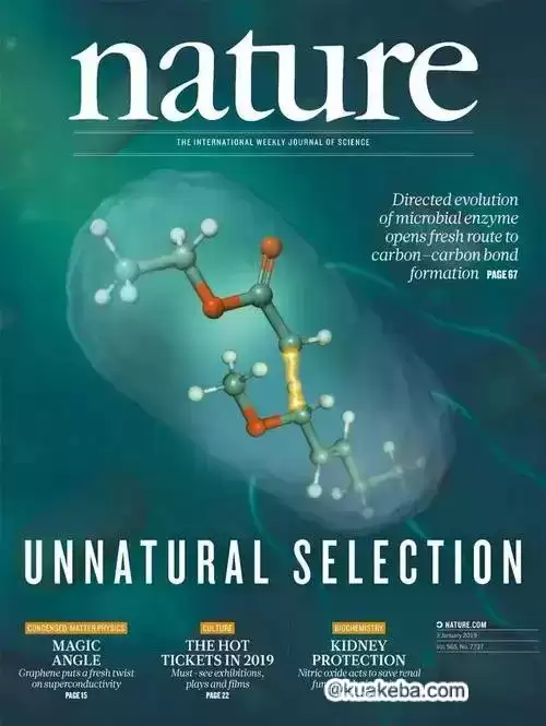 《Nature》自然杂志 全球权威科研期刊   十年PDF合订本  稀缺资源-夸克宝藏库