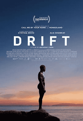 漂流人生 Drift (2023) 1080p.AI中字-一起夸克