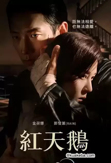 红天鹅 (2024) 1080P 韩语中字 全10集完结-夸克影视吧