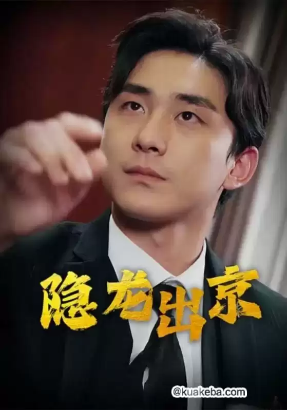 隐龙出京 (短剧)-一起夸克