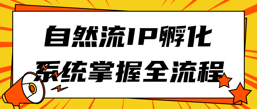 自然流IP孵化系统掌握全流程-夸克宝藏库