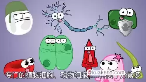 看动画趣味学初中生物-夸克社