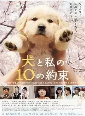 狗狗与我的十个约定 (2008) 1080P 日语中字-夸克影视吧