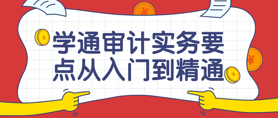 学通审计实务要点从入门到精通课-夸克宝藏库