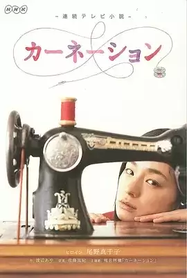 康乃馨 (2011) 高清1080P 日语外挂中字 全151集-夸克宝藏库