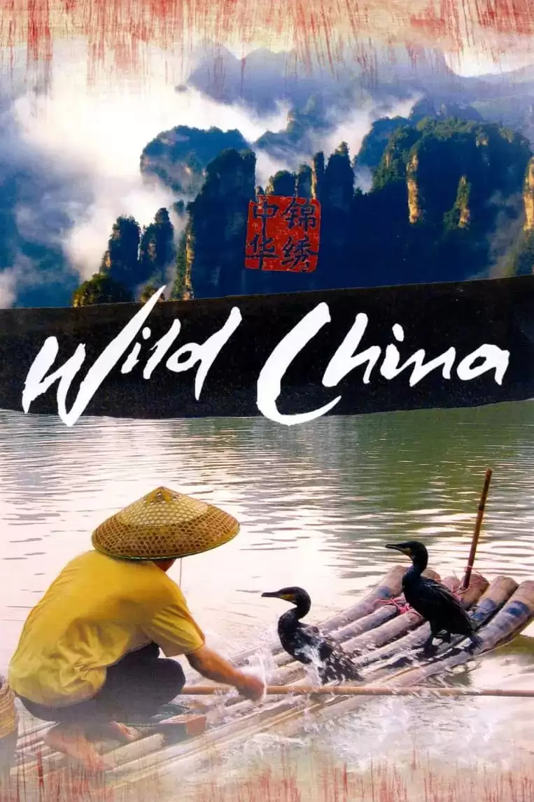 美丽中国 (2008) 1080P 全6集-夸克宝藏库