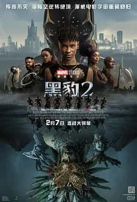 黑豹2 (2022) 4K 内嵌中字-夸克宝藏库