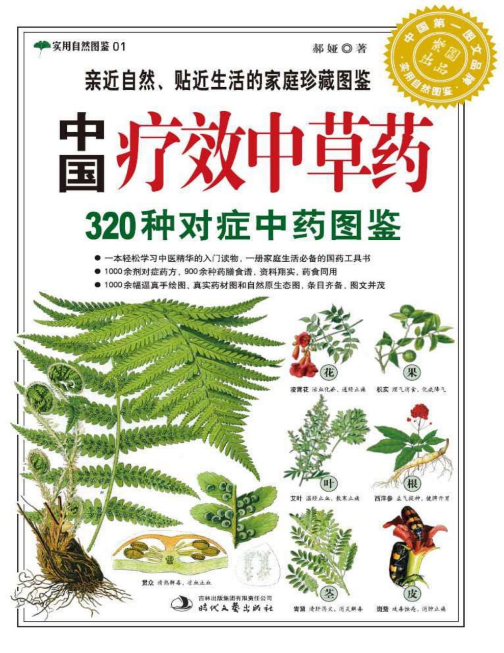 《中国疗效中草药320种对症中药图鉴 》实用自然图鉴-夸克宝藏库