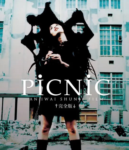 梦旅人 PicNic (1996)-夸克宝藏库