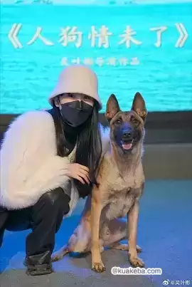 人狗情未了 (2024) 4K 国语中字-夸克社
