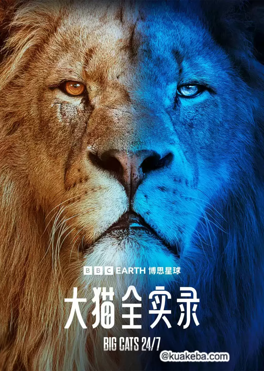 大猫全实录 (2024) 4K 英语中字-夸克宝藏库