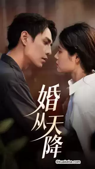 婚从天降 (短剧)-夸克影视吧