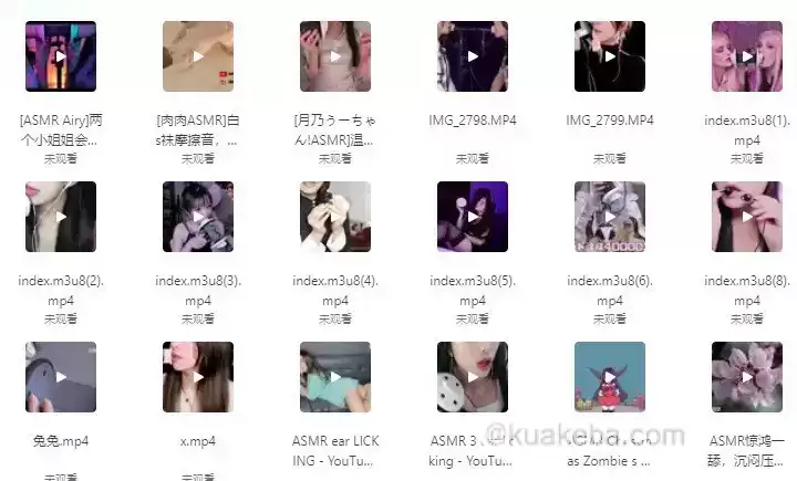 让小姐姐舒缓你的辛劳，耳边低语 轩子巨兔等ASMR收费资源-夸克社