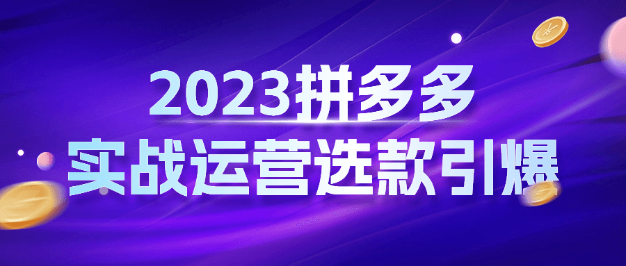 2023拼多多实战运营选款引爆-夸克宝藏库