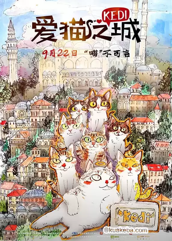 【纪录片】爱猫之城.2016.1080p.中字.大陆公映双语【豆瓣8.3】-夸克宝藏库