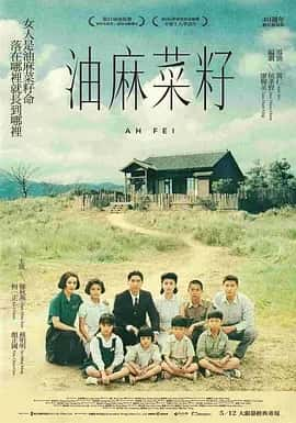 油麻菜籽 (1983) 国语中字 1080P-夸克宝藏库