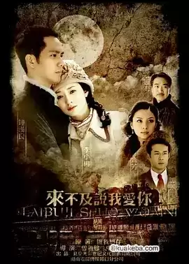 来不及说我爱你 (2010) 4K 国语中字 36集全-夸克宝藏库