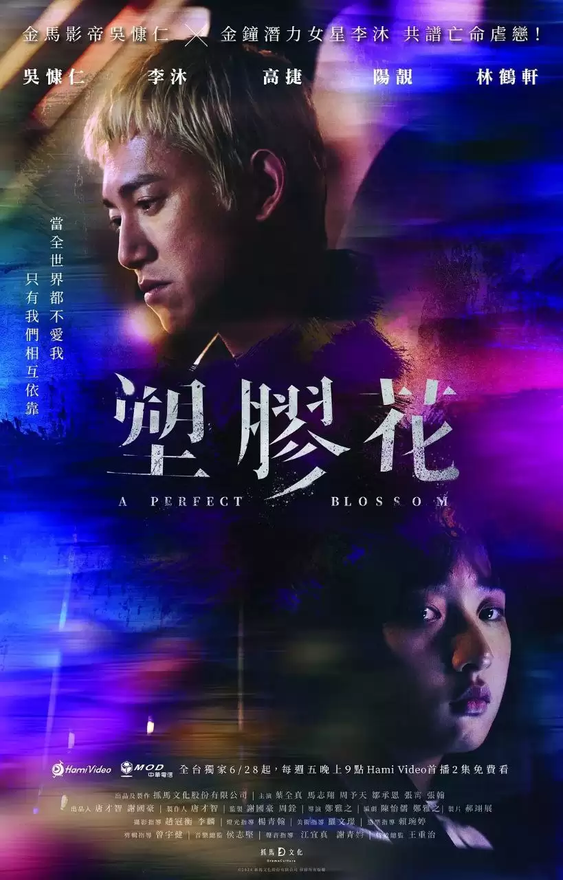 塑胶花 (2024) 1080P 国语中字 全10集完结-夸克社