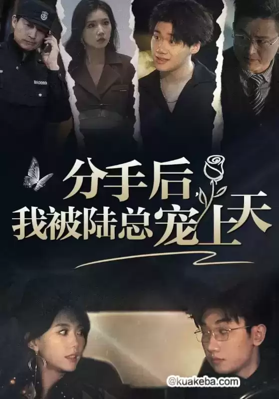 分手后，我被陆总宠上天 (短剧)-夸克社