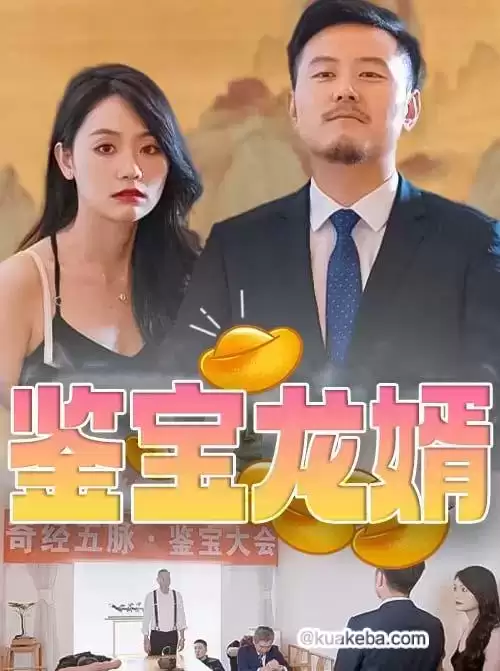 鉴宝龙婿 (短剧)-夸克影视吧