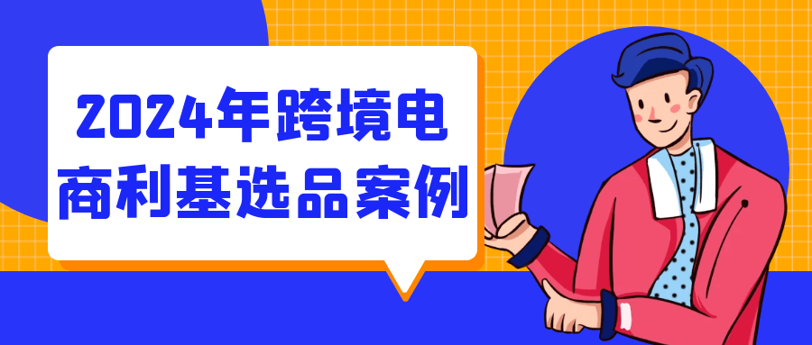 2024年跨境电商利基选品案例-夸克宝藏库