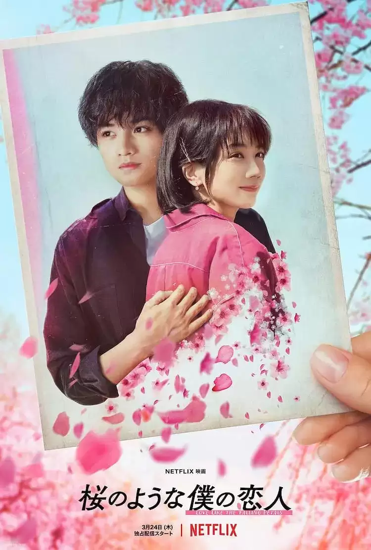 我的樱花恋人 (2022) 1080P 日语中字-夸克宝藏库