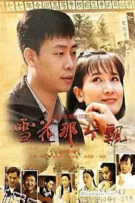 雪花那个飘 (2010) 国语中字 全38集-夸克宝藏库