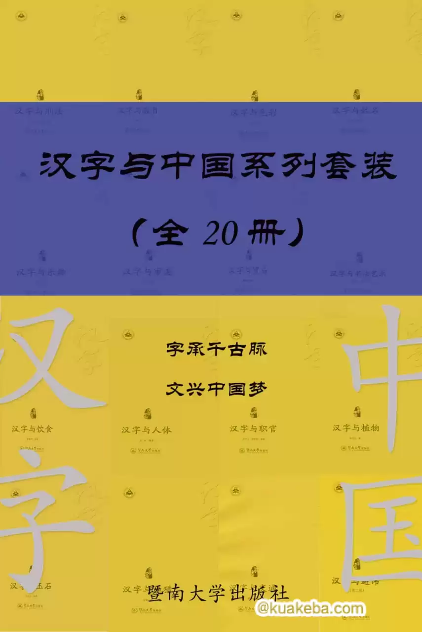 汉字与中国系列套装（共 20 册）  [pdf+全格式]-夸克宝藏库