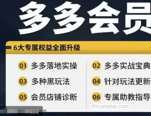 拼多多会员，拼多多实战宝典+实战落地实操，从新手到高阶内容全面覆盖-夸克宝藏库