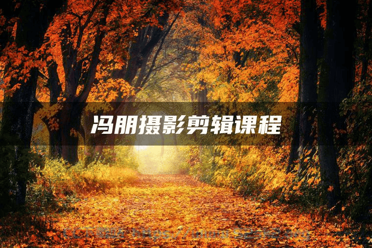 冯朋摄影剪辑课程-巨能搜