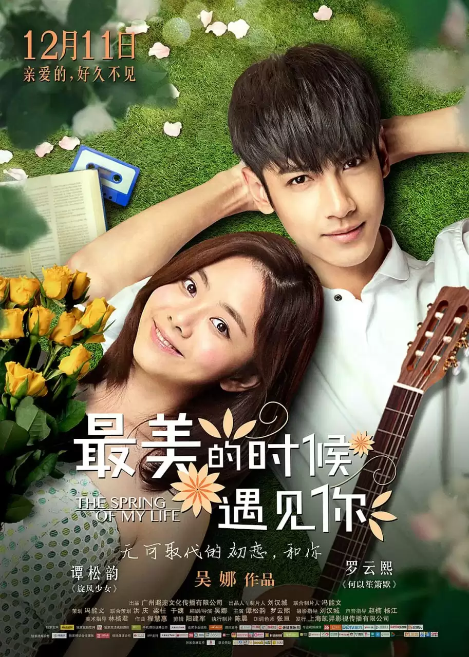 最美的时候遇见你 (2014) 1080P 国语中字-夸克宝藏库