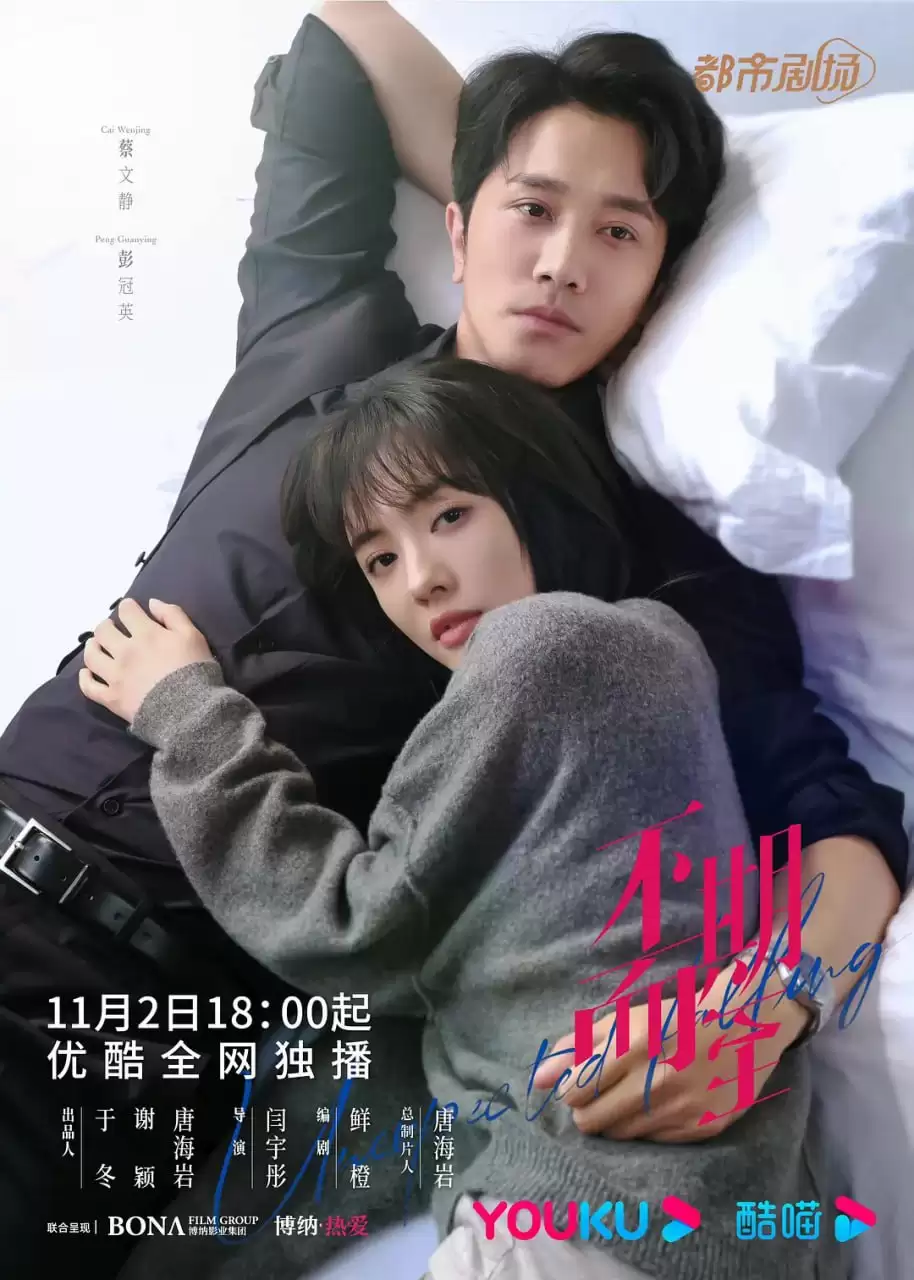 不期而至 (2022) 1080P 国语中字 38集全-夸克影视吧