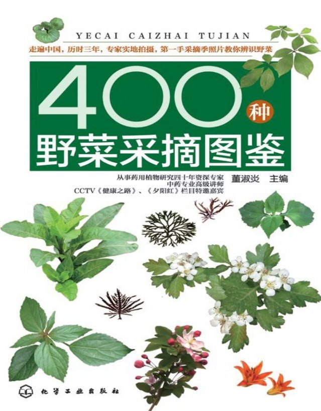 《400种野菜采摘图鉴》辨识野菜PDF-夸克宝藏库