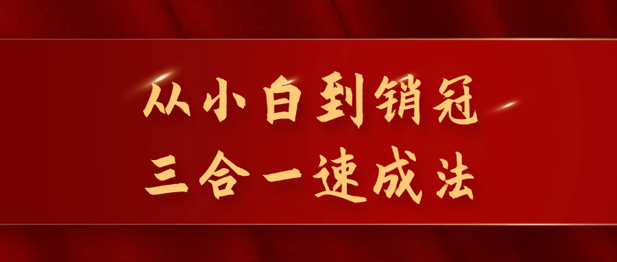 从小白到销冠三合一速成法-夸克宝藏库