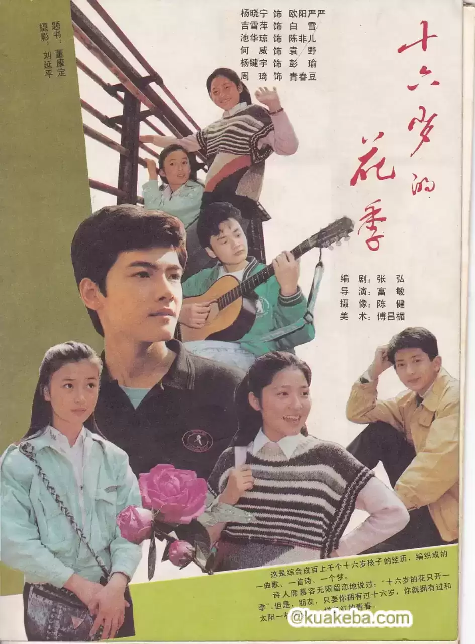 十六岁的花季 (1990) 1080P 国语中字 12集全-夸克影视吧
