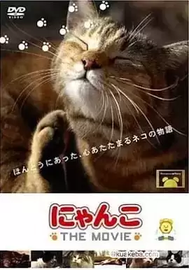 【纪录片】猫咪物语【2006~2012】【1-5合集】日语中字-夸克宝藏库